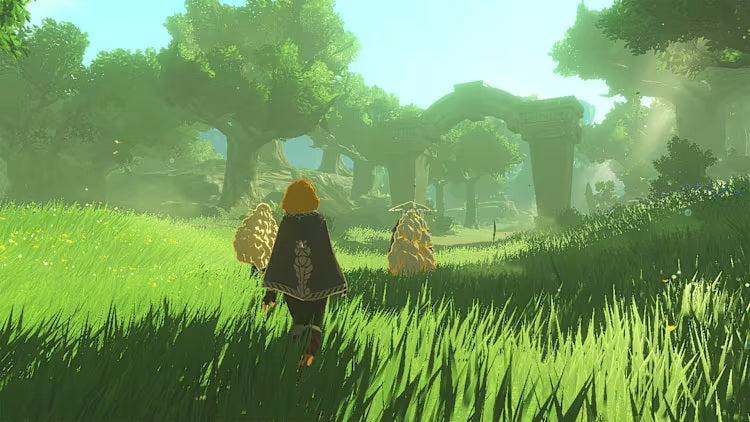 Hyrule Warriors: Age of Imprisonment Switch 2 — image 1