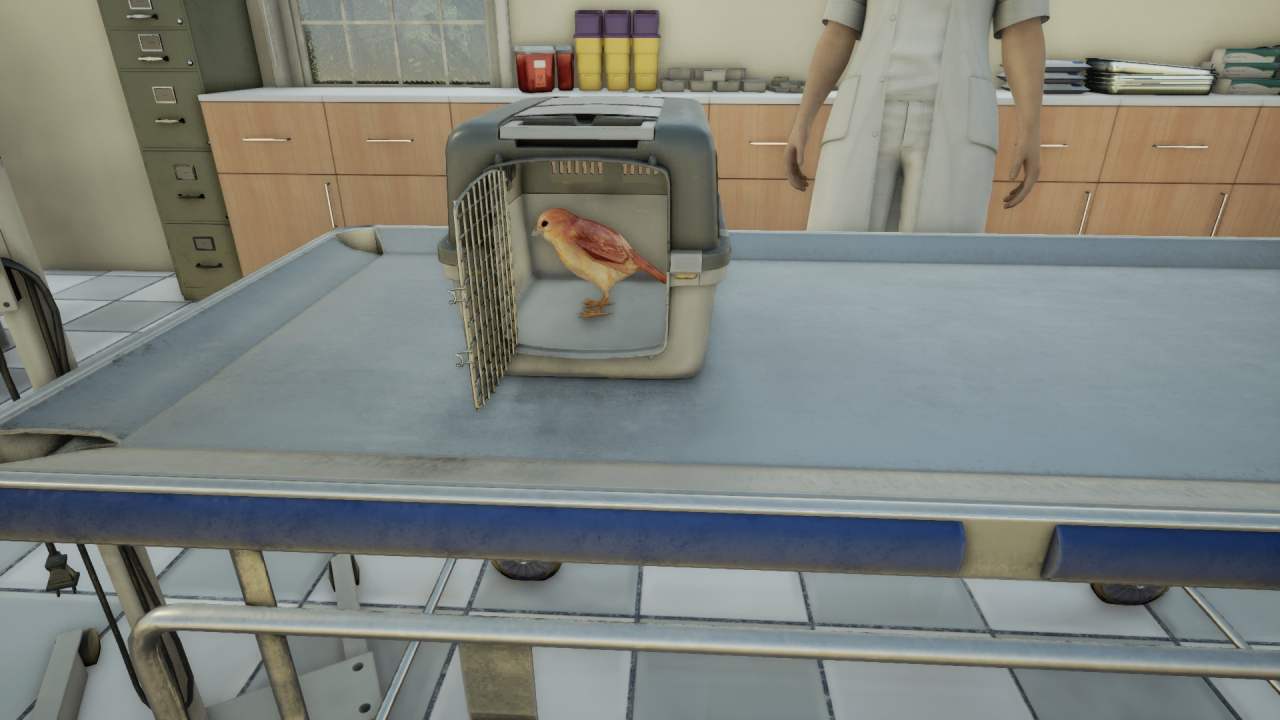 Animal Doctor — image 5