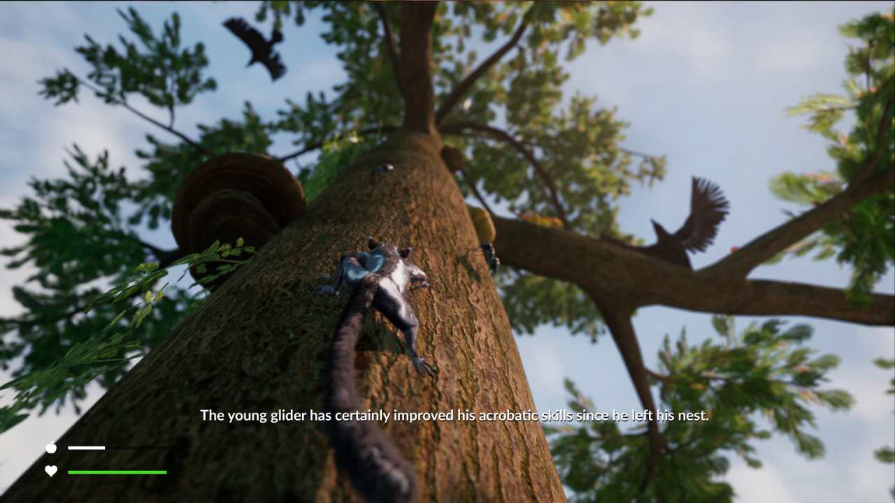 AWAY: The Survival Series — image 3
