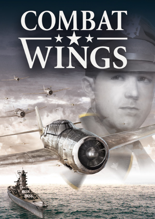 Combat Wings — image 6