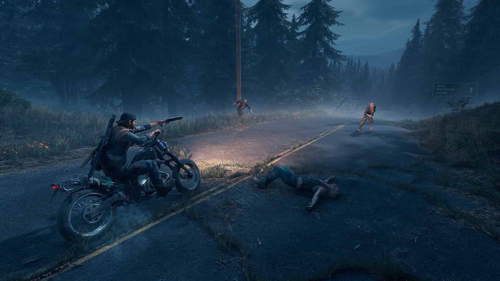 Days Gone — image 2