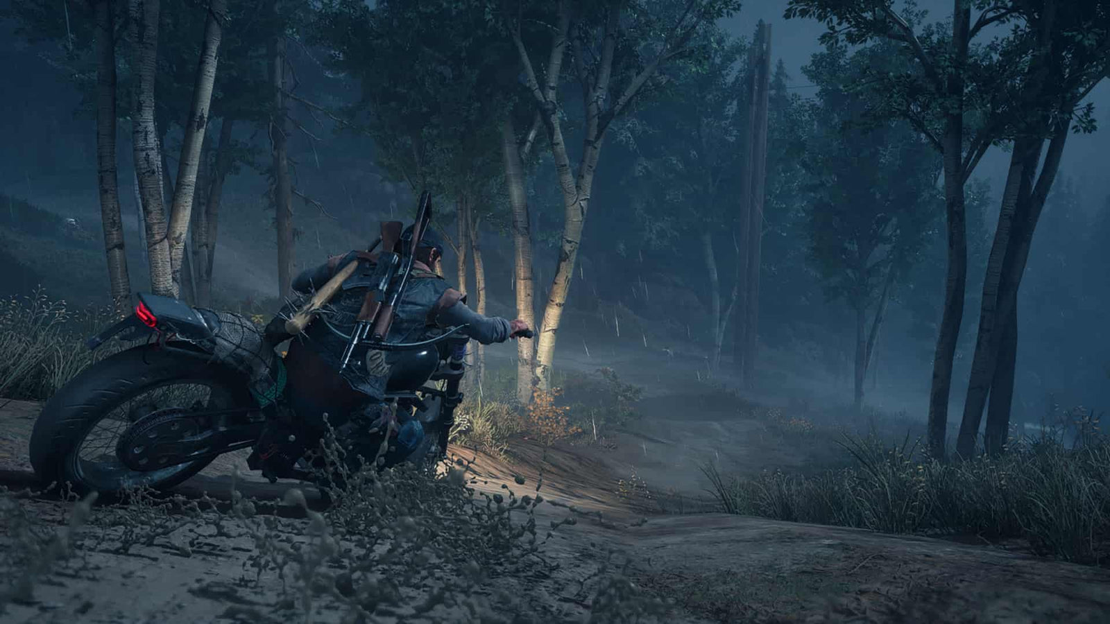 Days Gone — image 4