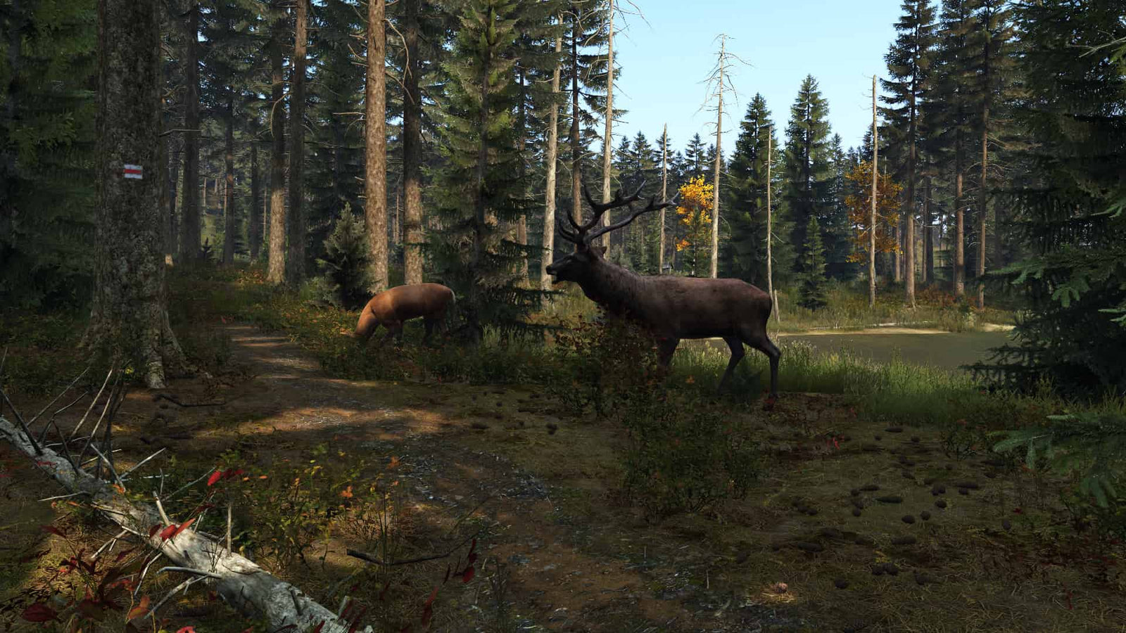 DayZ — image 1