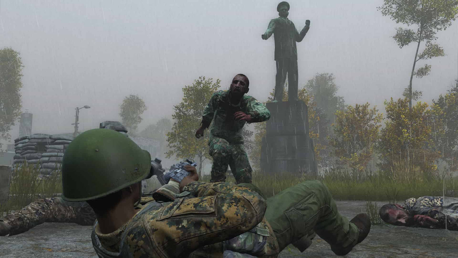DayZ — image 3