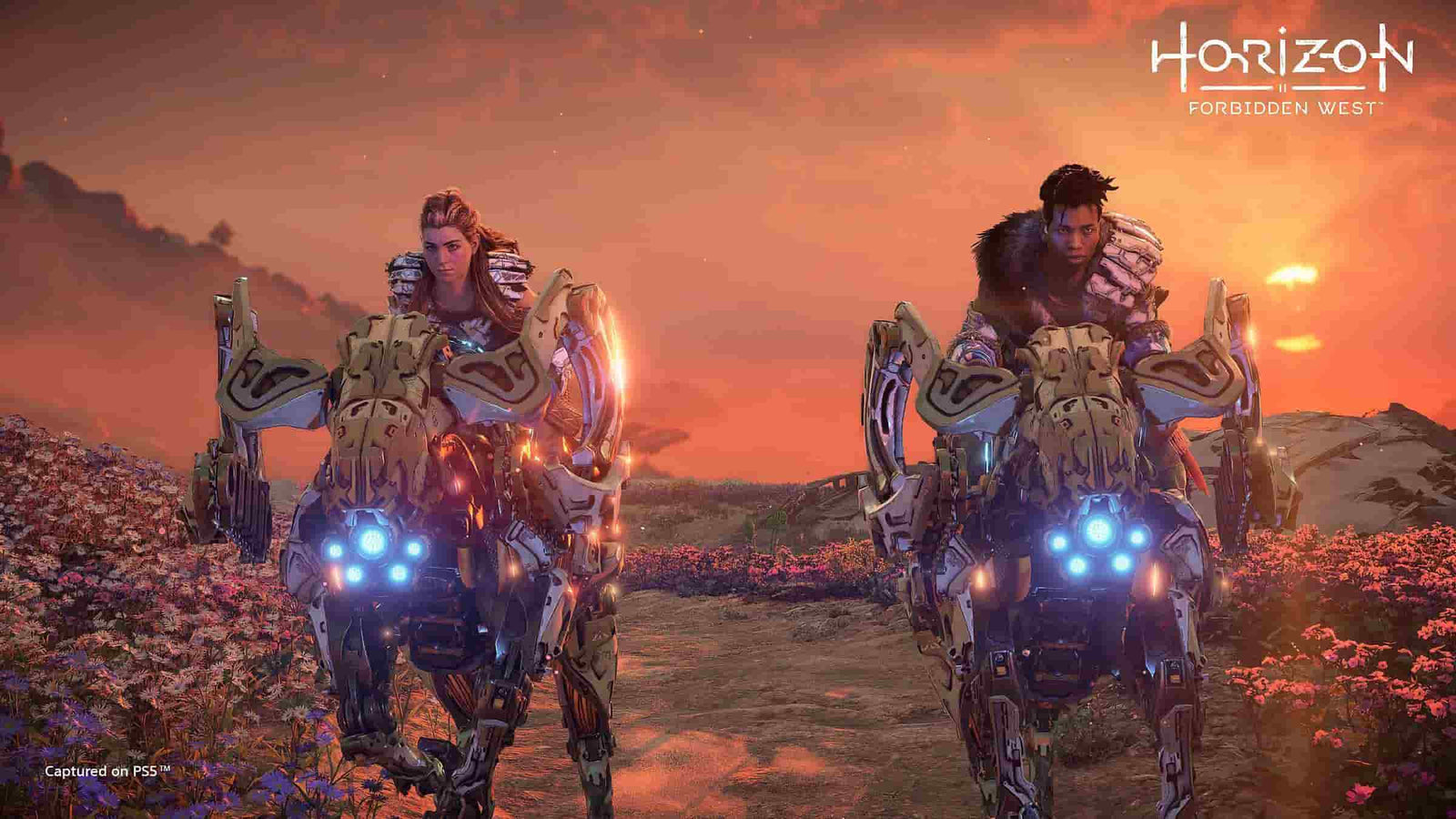 Horizon Forbidden West — image 1