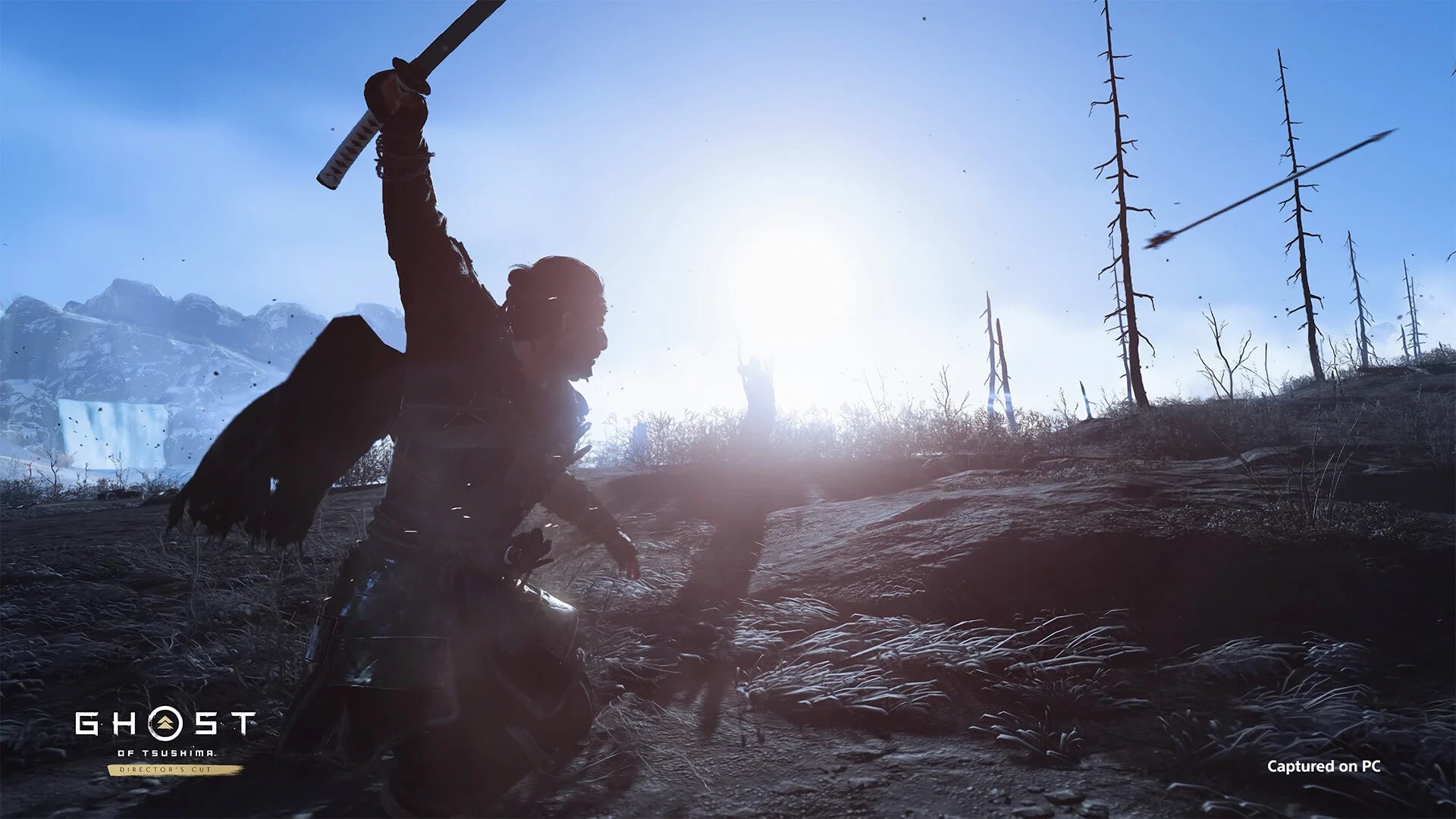 Ghost of Tsushima: Director's Cut