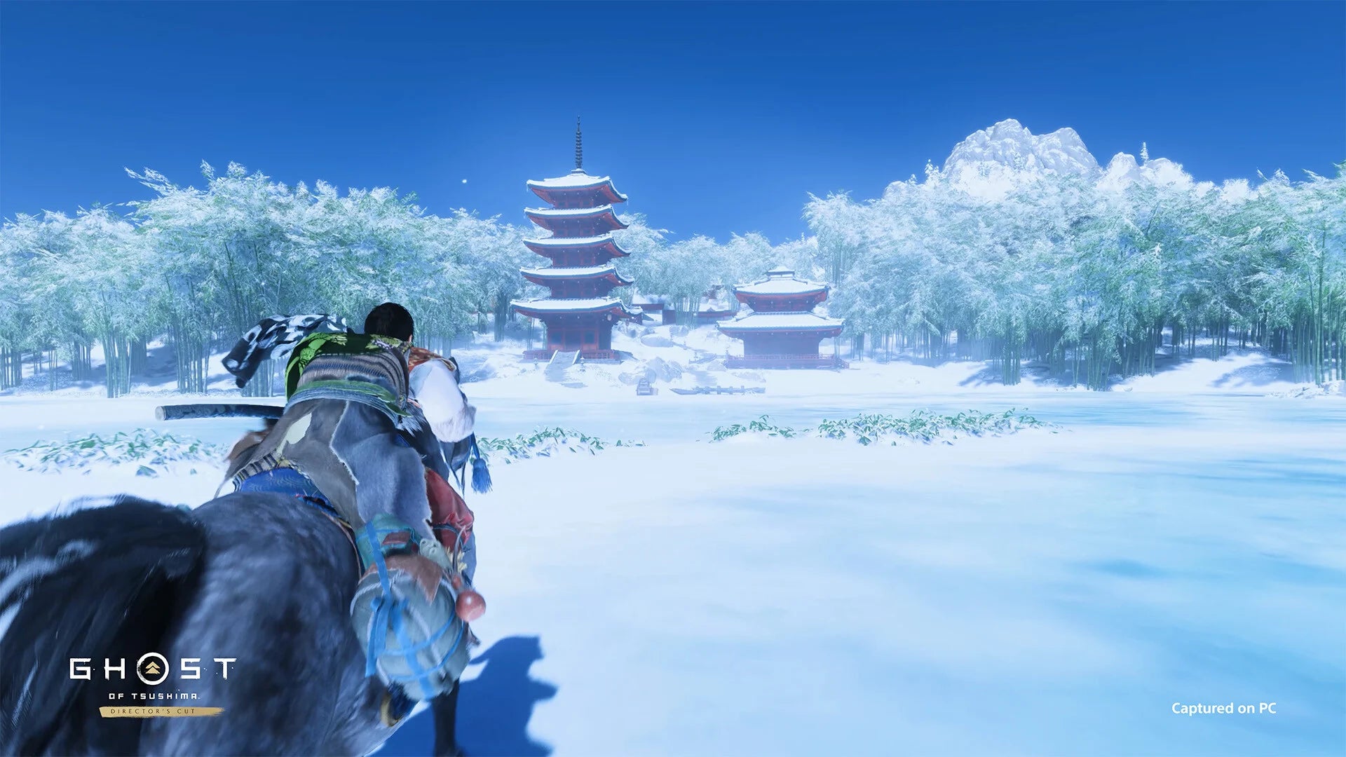 Ghost of Tsushima: Director's Cut