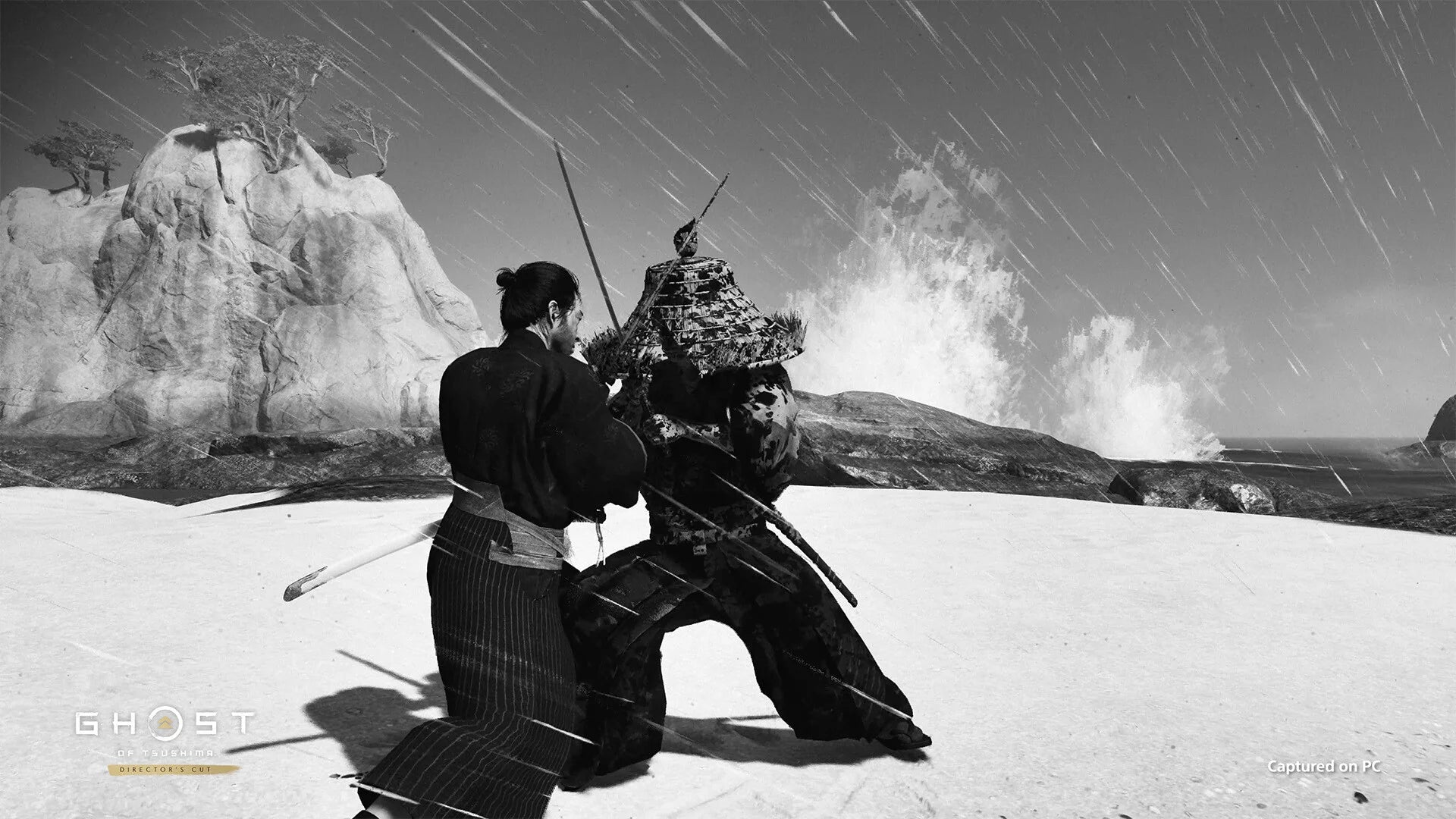 Ghost of Tsushima: Director's Cut