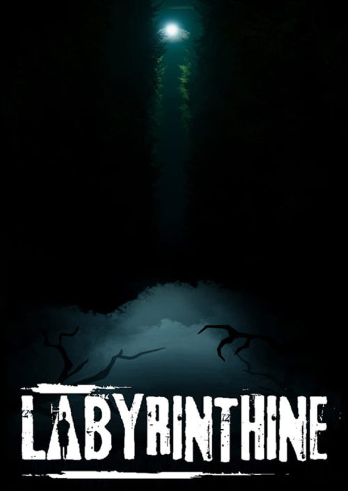 Labyrinthine — image 5