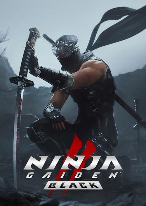 NINJA GAIDEN 2 Black — image 6