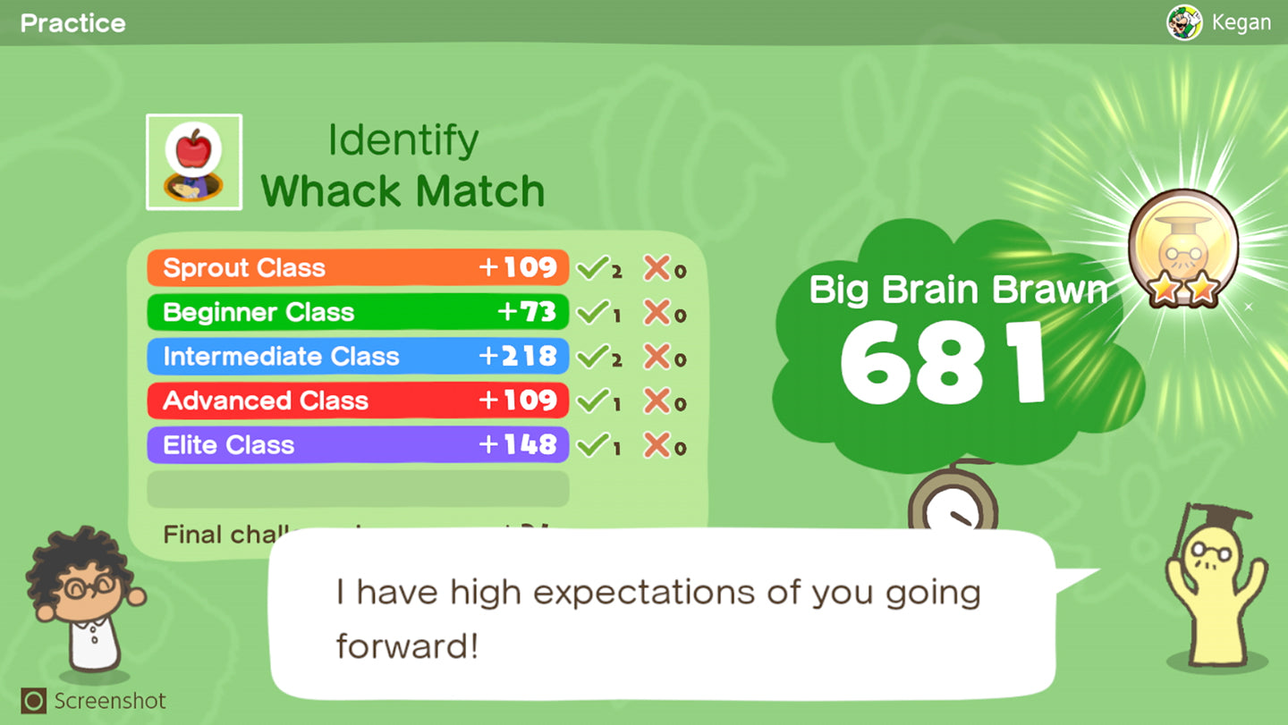 Big Brain Academy: Brain vs. Brain Switch — image 3