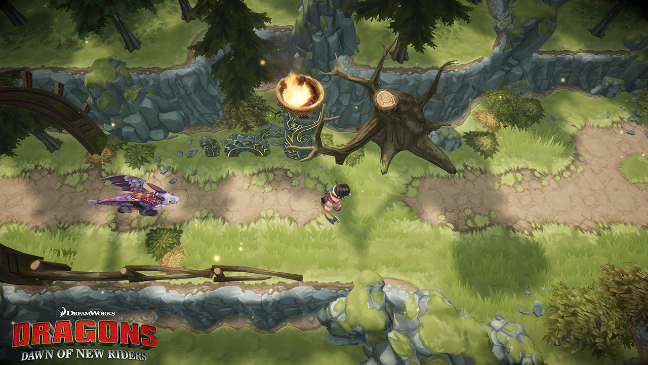 DreamWorks Dragons Dawn of New Riders Switch & Switch 2 (Europe & UK) — image 1