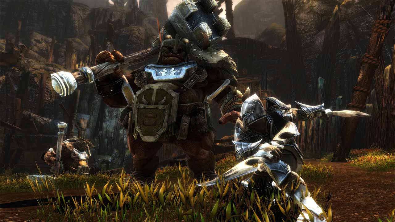 Kingdoms of Amalur: Re Reckoning Switch