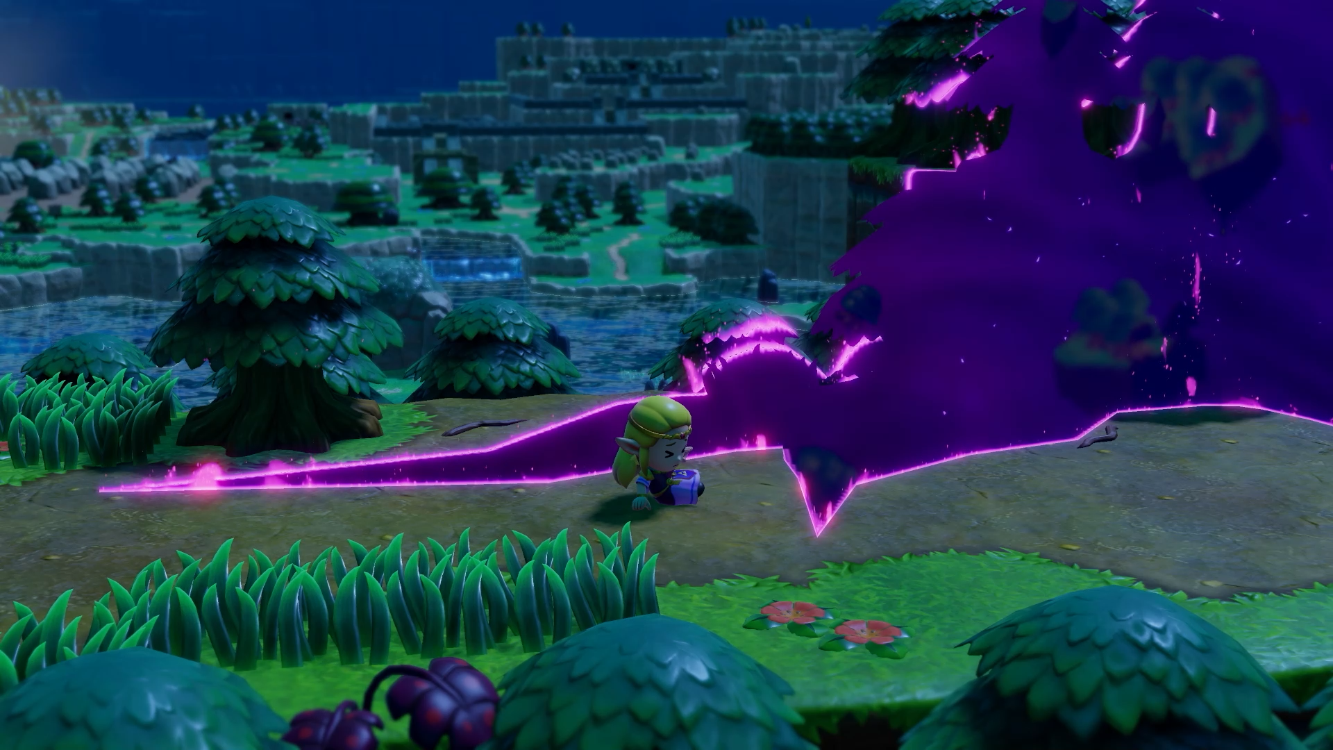 The Legend of Zelda: Echoes of Wisdom Switch