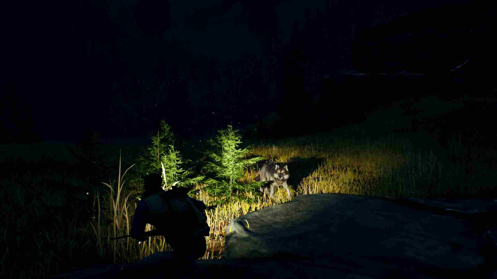 Open Country — image 3