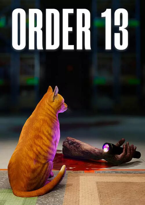 ORDER 13 — image 6