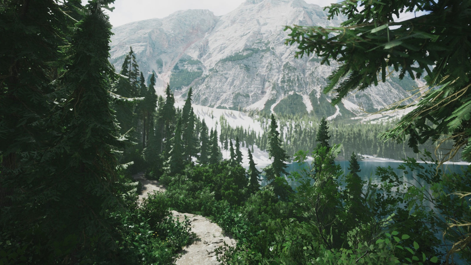 Lushfoil Photography Sim — image 5