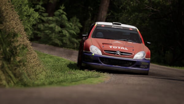 Assetto Corsa Rally — image 3