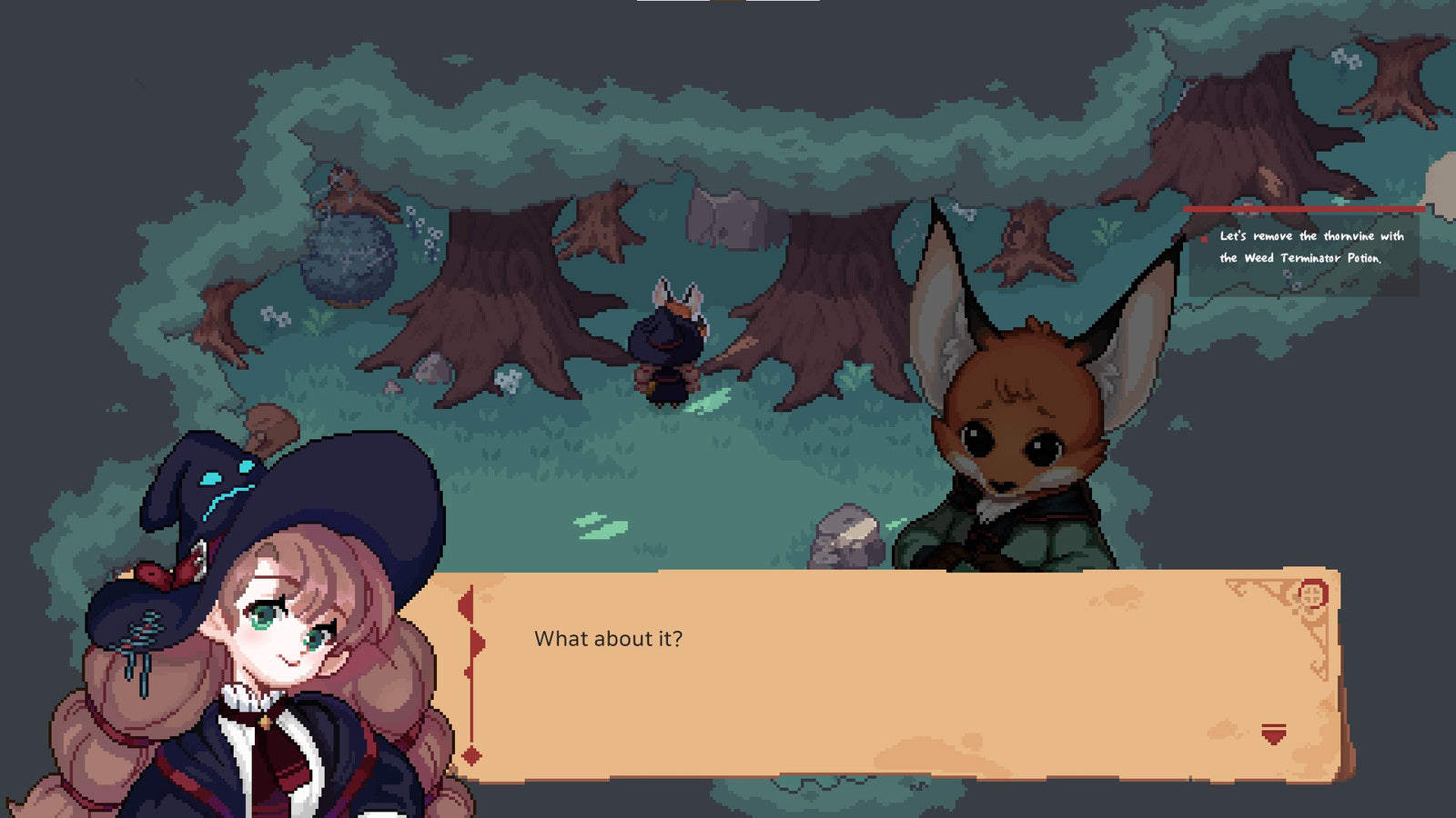 Little Witch in the Woods — image 4