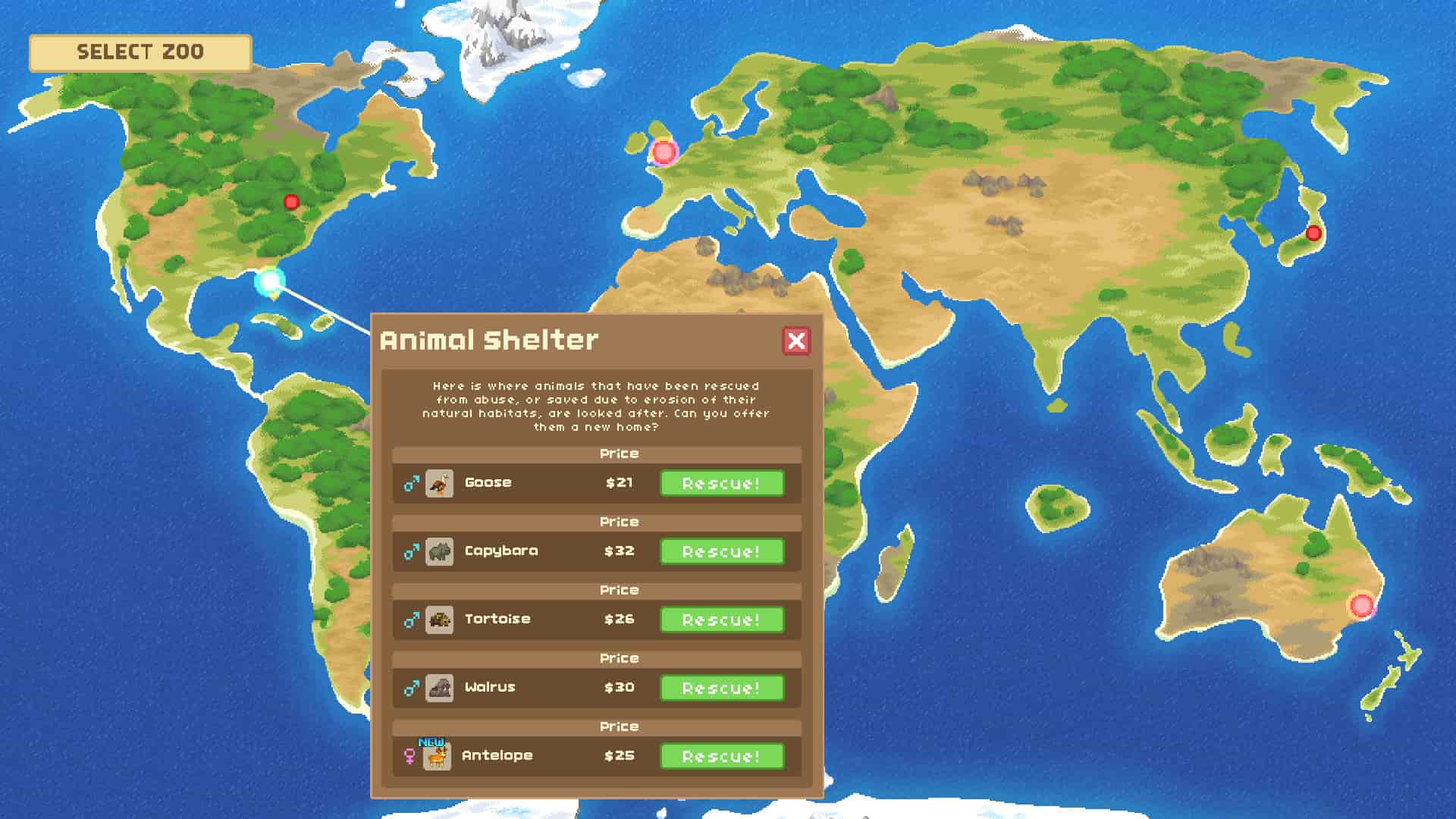 Let's Build a Zoo