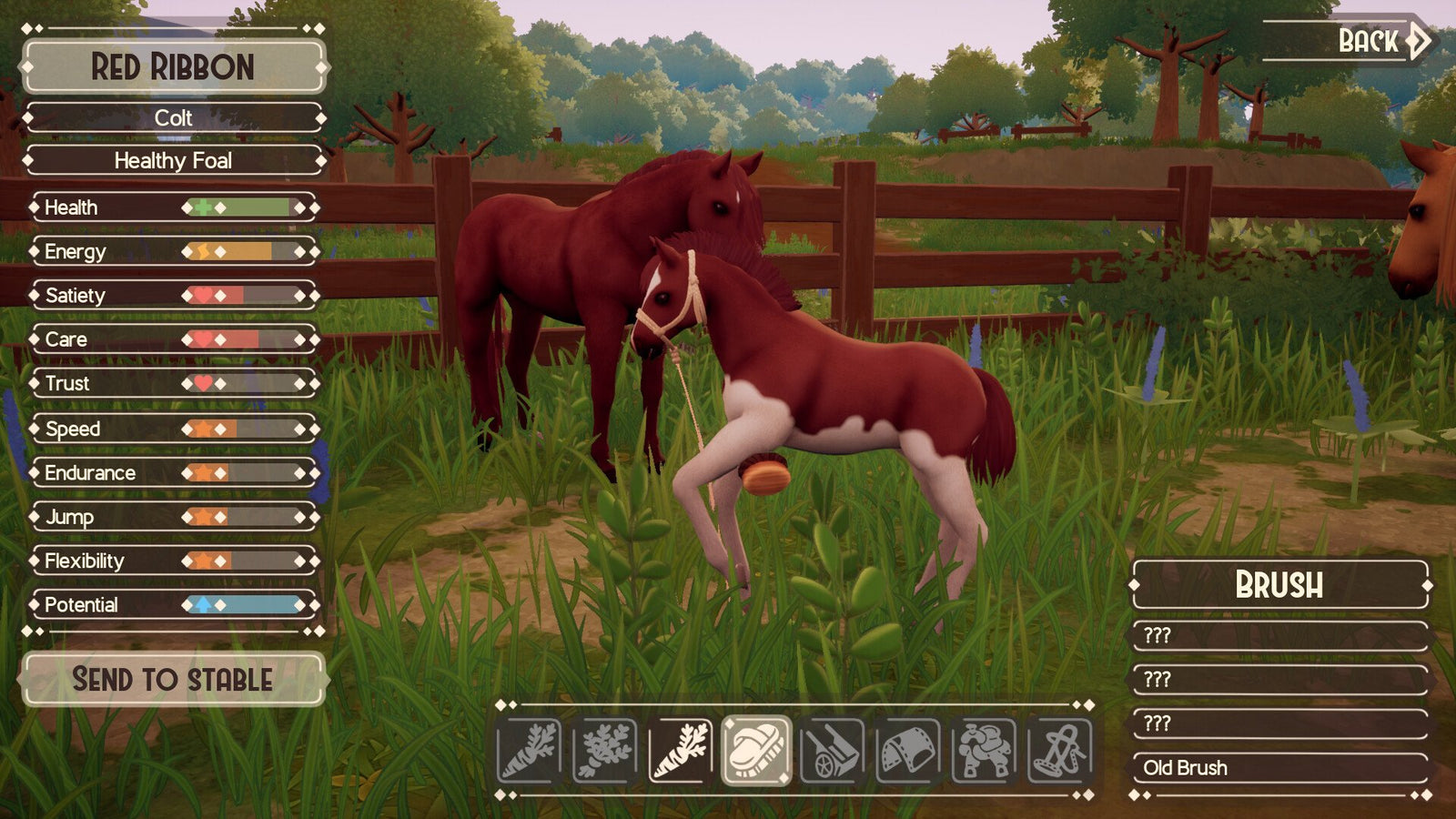 The Ranch of Rivershine — image 4