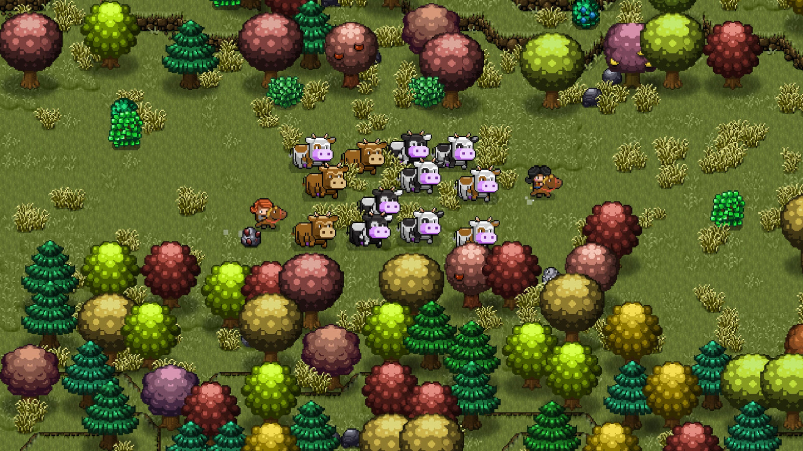 Cattle Country — image 5