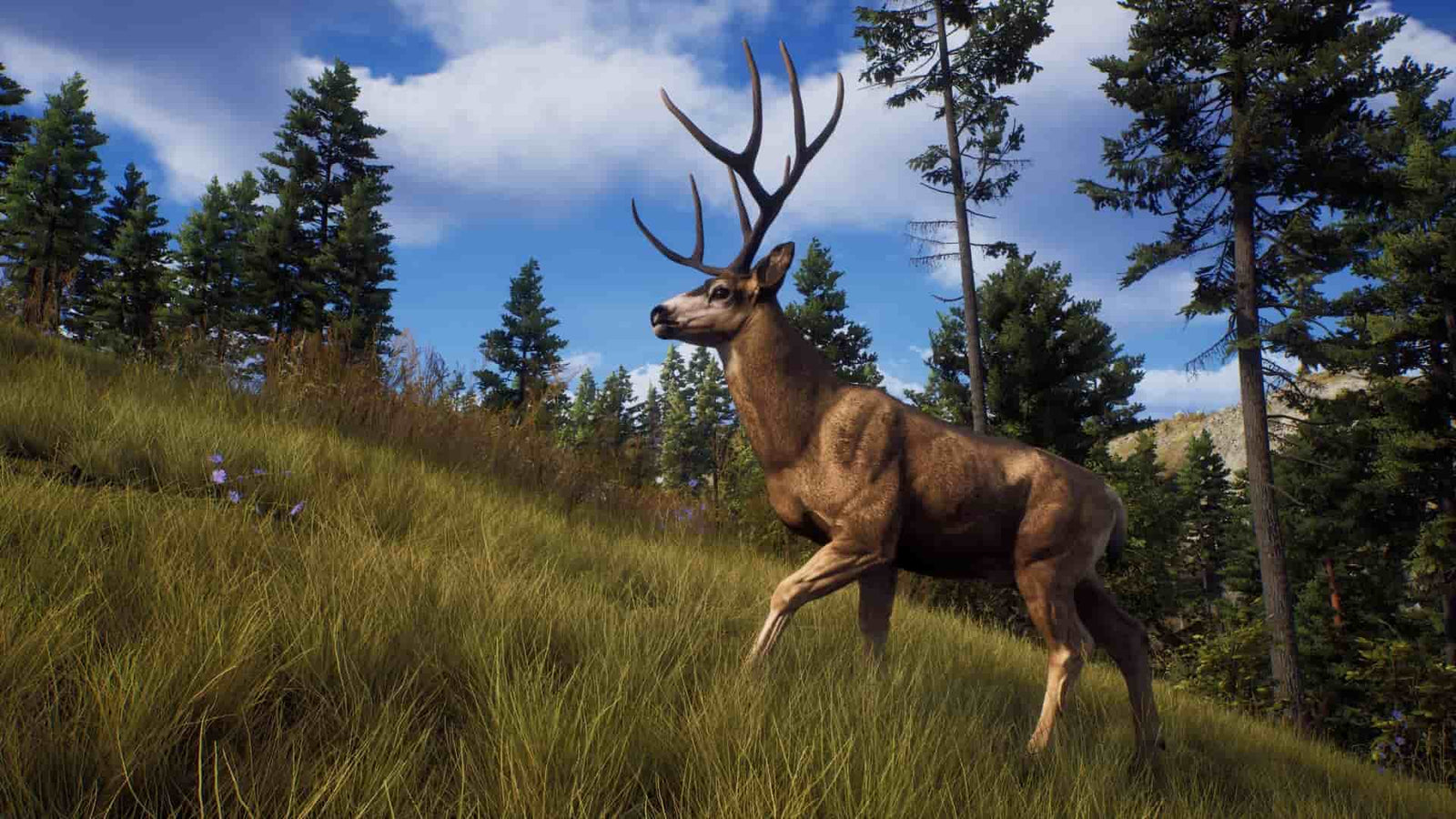 Way of the Hunter — image 3