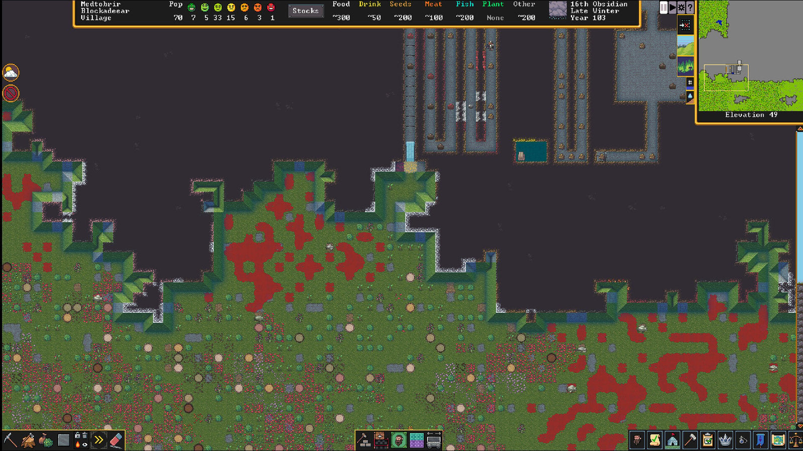 Dwarf Fortress — image 3