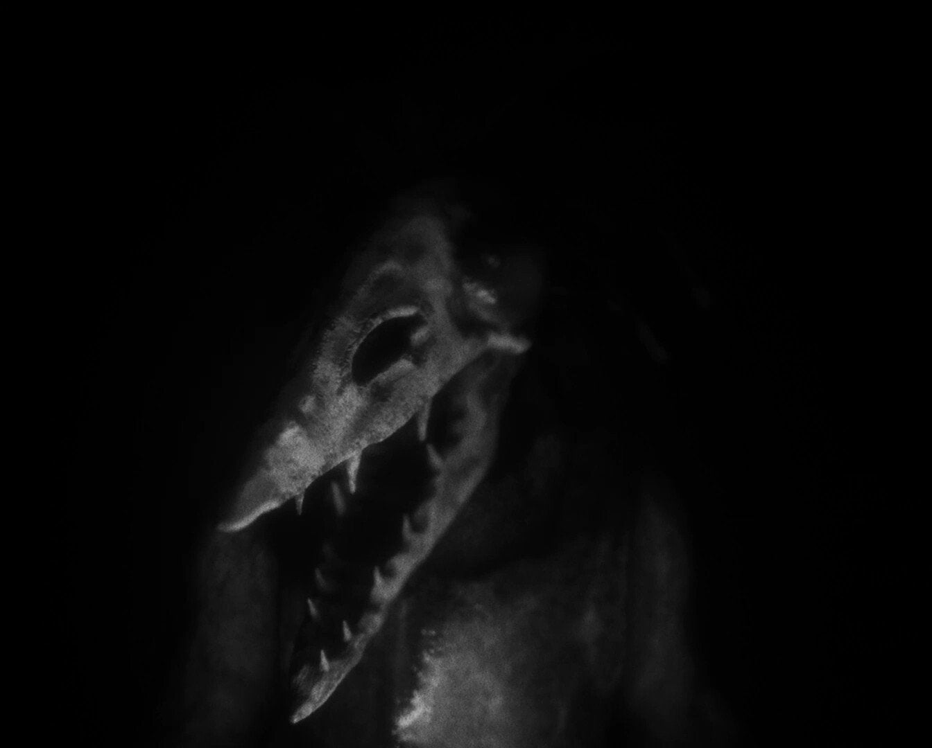 Daemonologie — image 1