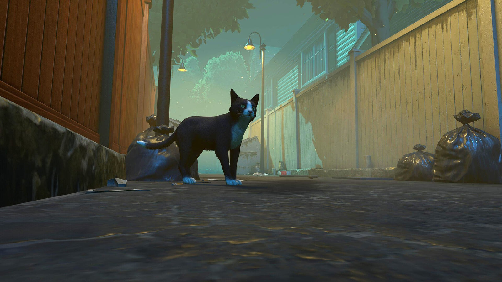 Copycat — image 6