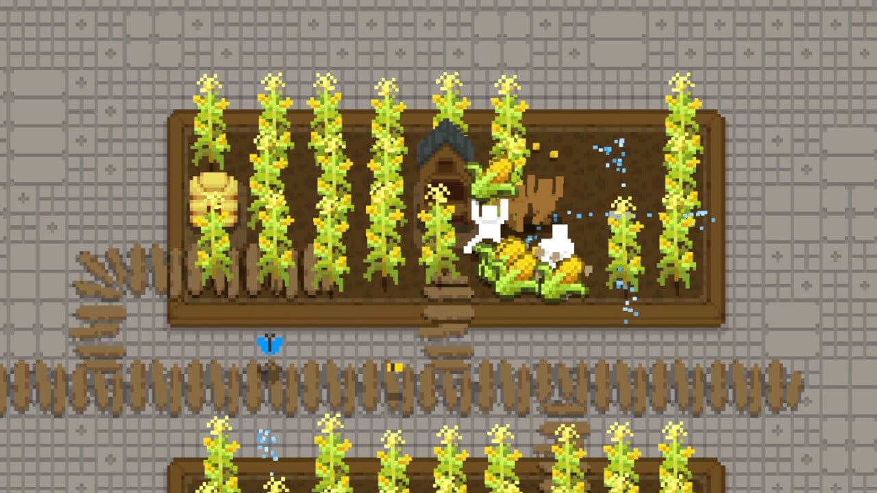 Tiny Terraces
