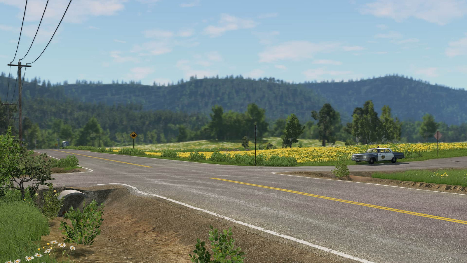 BeamNG.drive — image 4