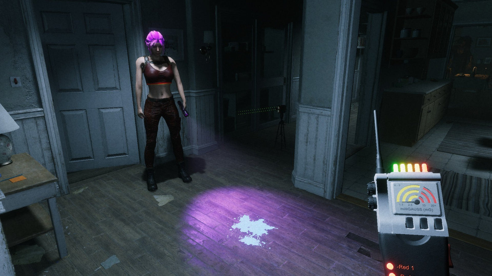 Ghost Watchers — image 4