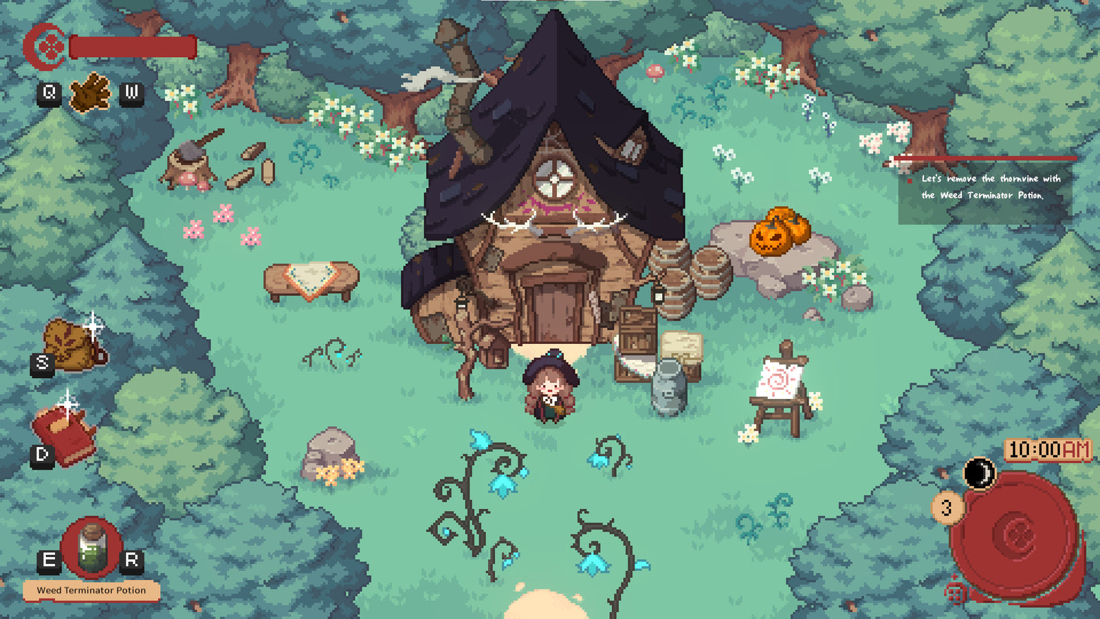 Little Witch in the Woods — image 5
