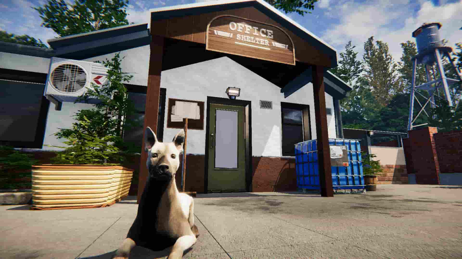 Animal Shelter — image 1