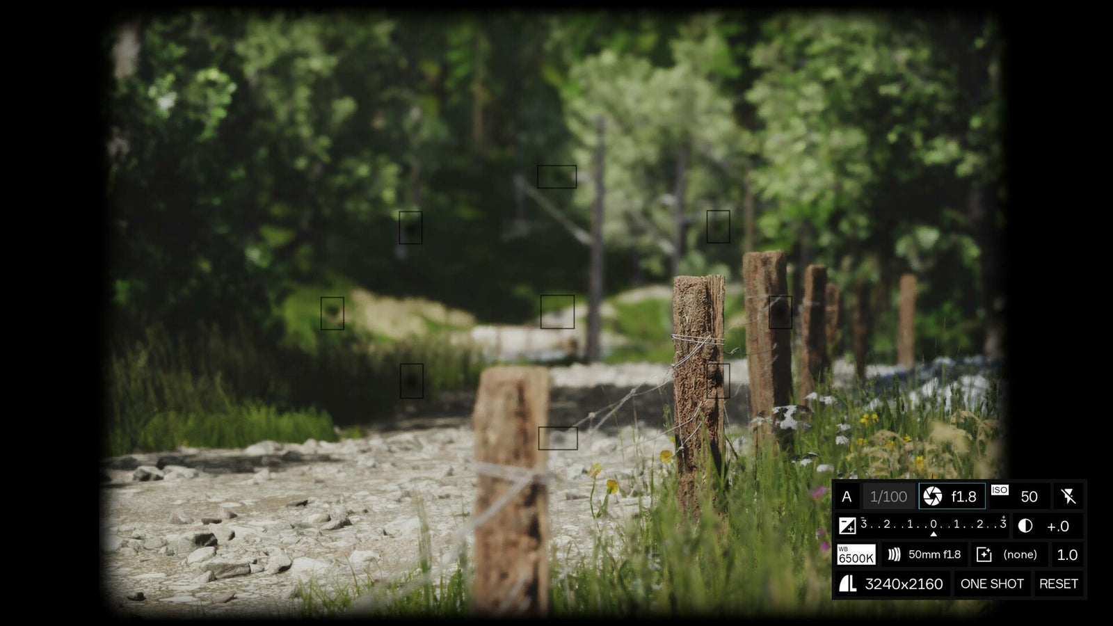 Lushfoil Photography Sim — image 2