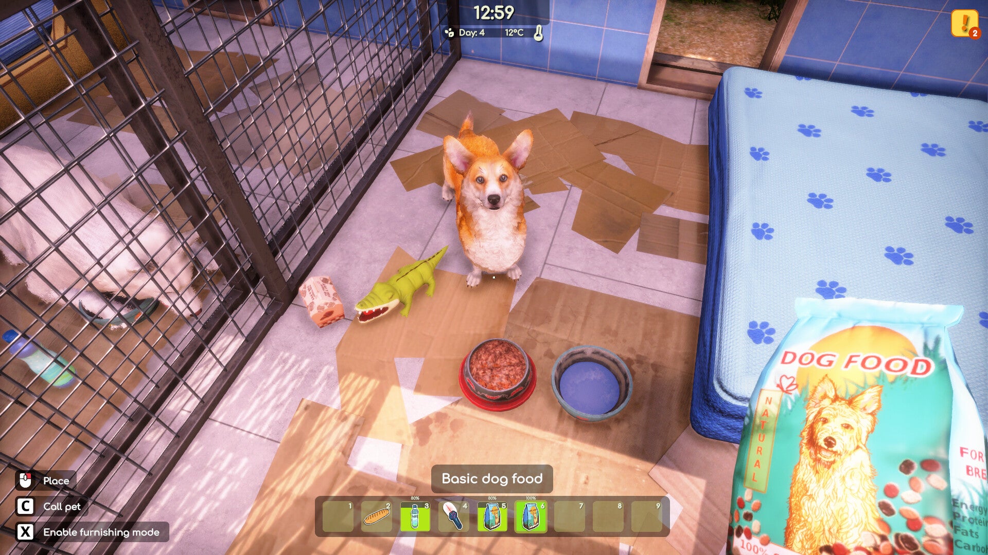 Animal Shelter 2