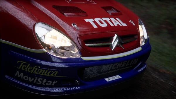 Assetto Corsa Rally — image 1