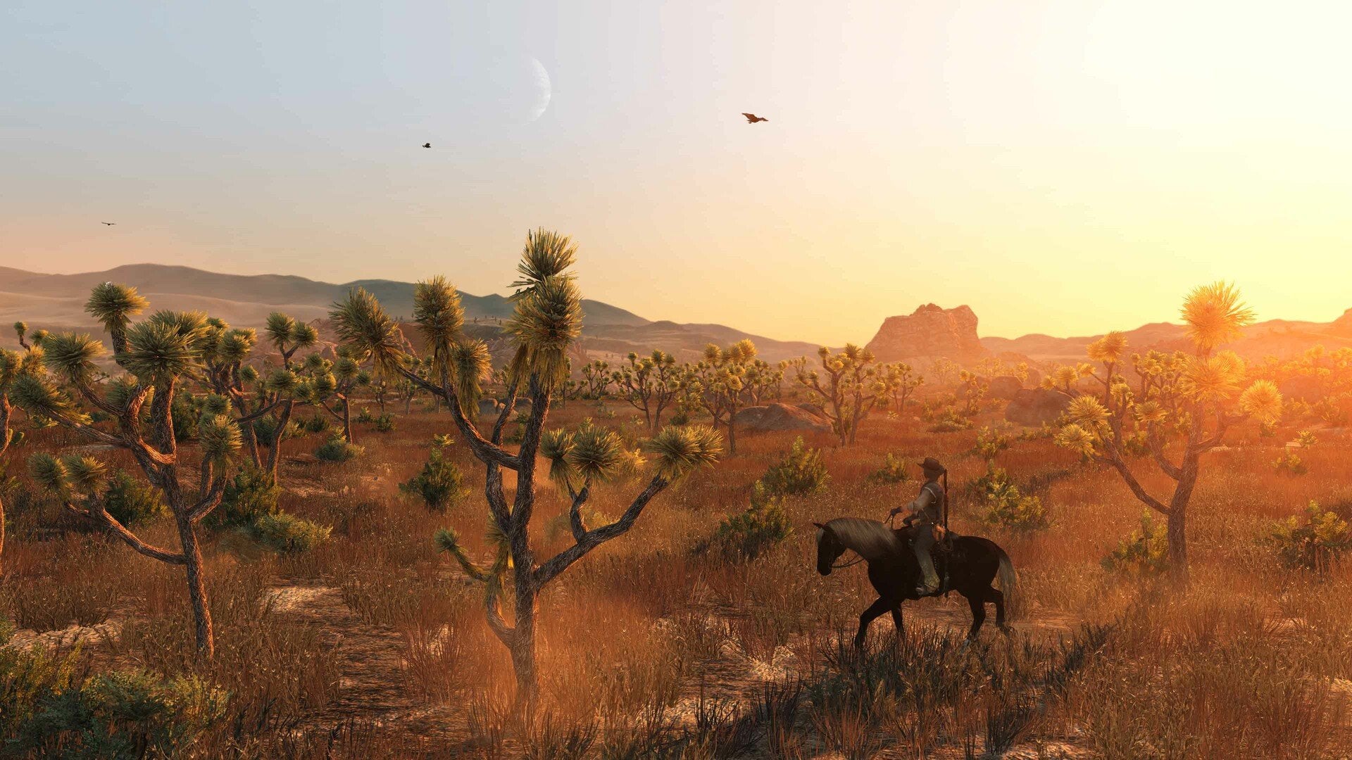Red Dead Redemption Switch 2 (Europe & UK)