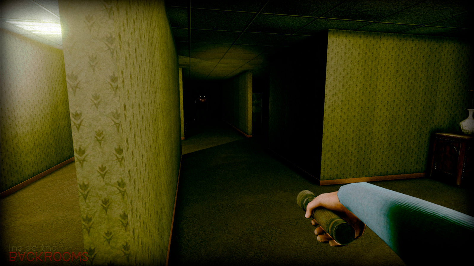 Inside the Backrooms — image 1