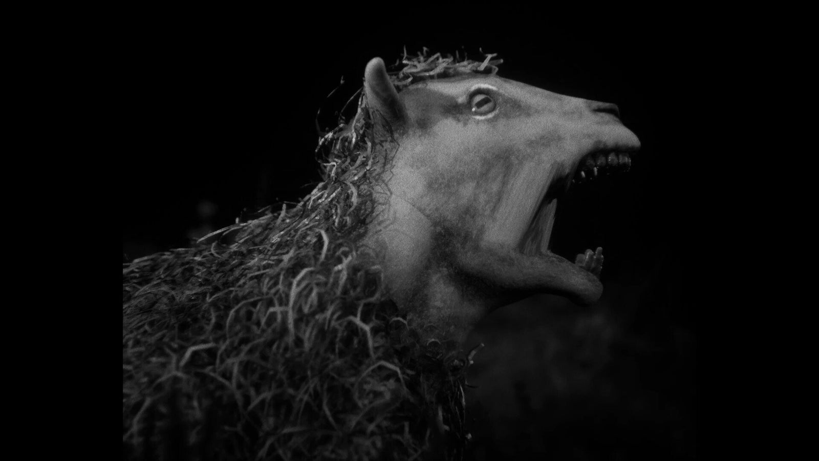 Daemonologie — image 5