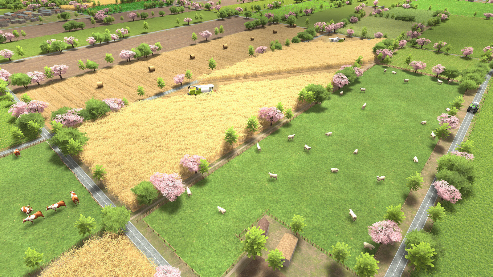 Global Farmer — image 6