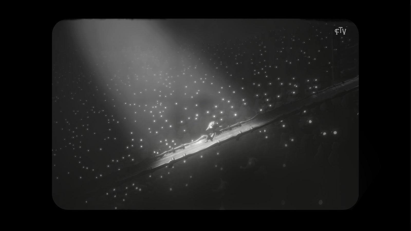 White Shadows — image 1