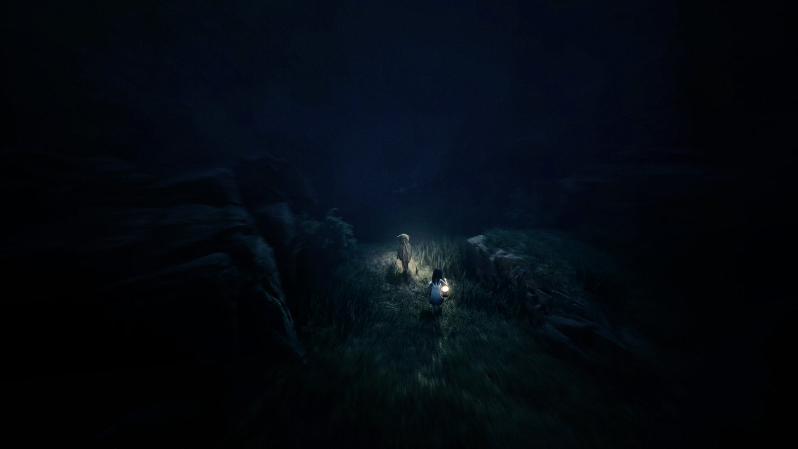 REANIMAL — image 2