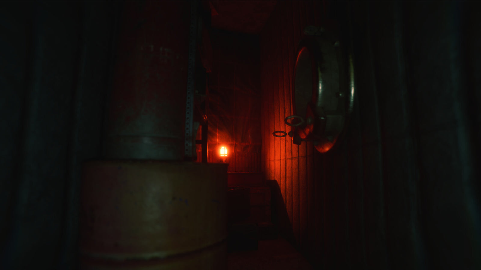 P1: Anchor Light — image 6