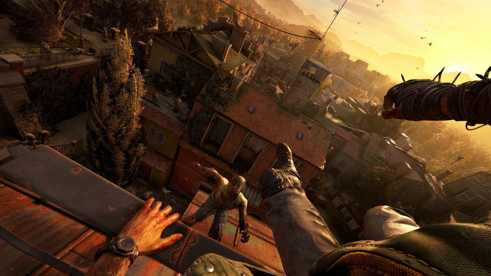 Dying Light: The Beast — image 1