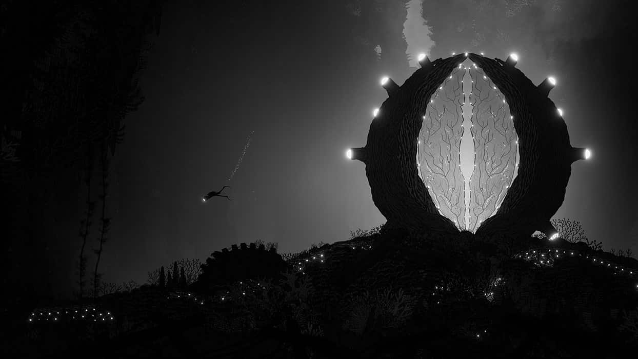 Silt — image 5