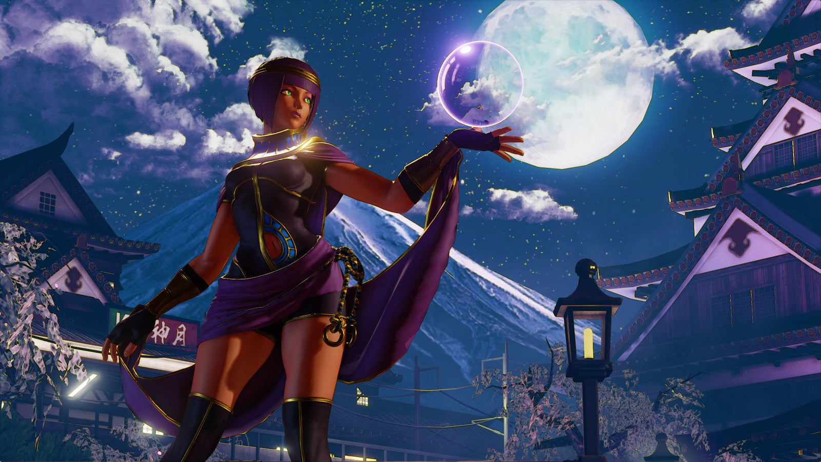 Street Fighter V Champion — image 5