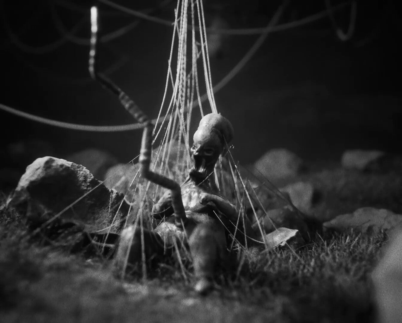 Daemonologie — image 3