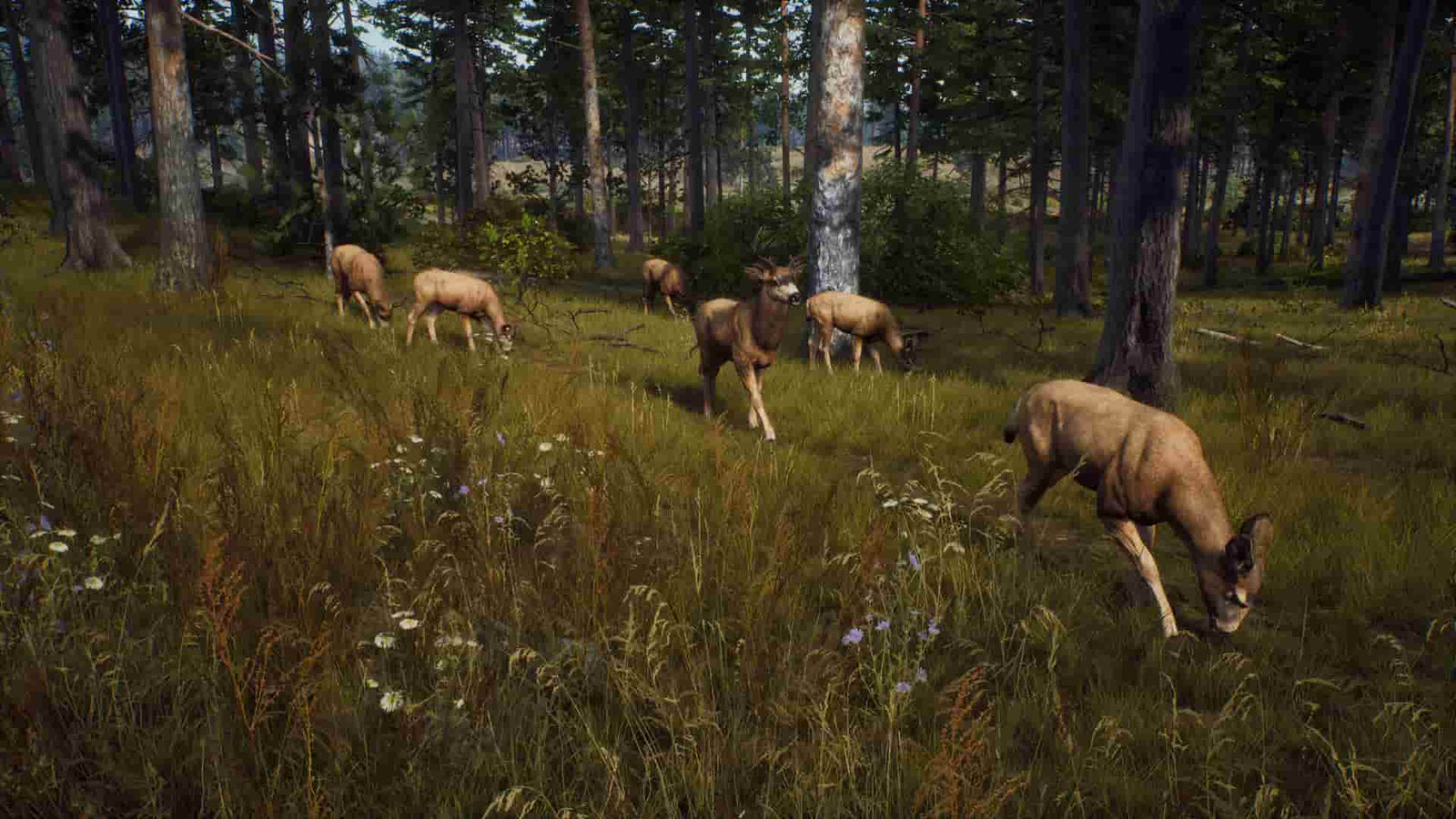 Way of the Hunter — image 1